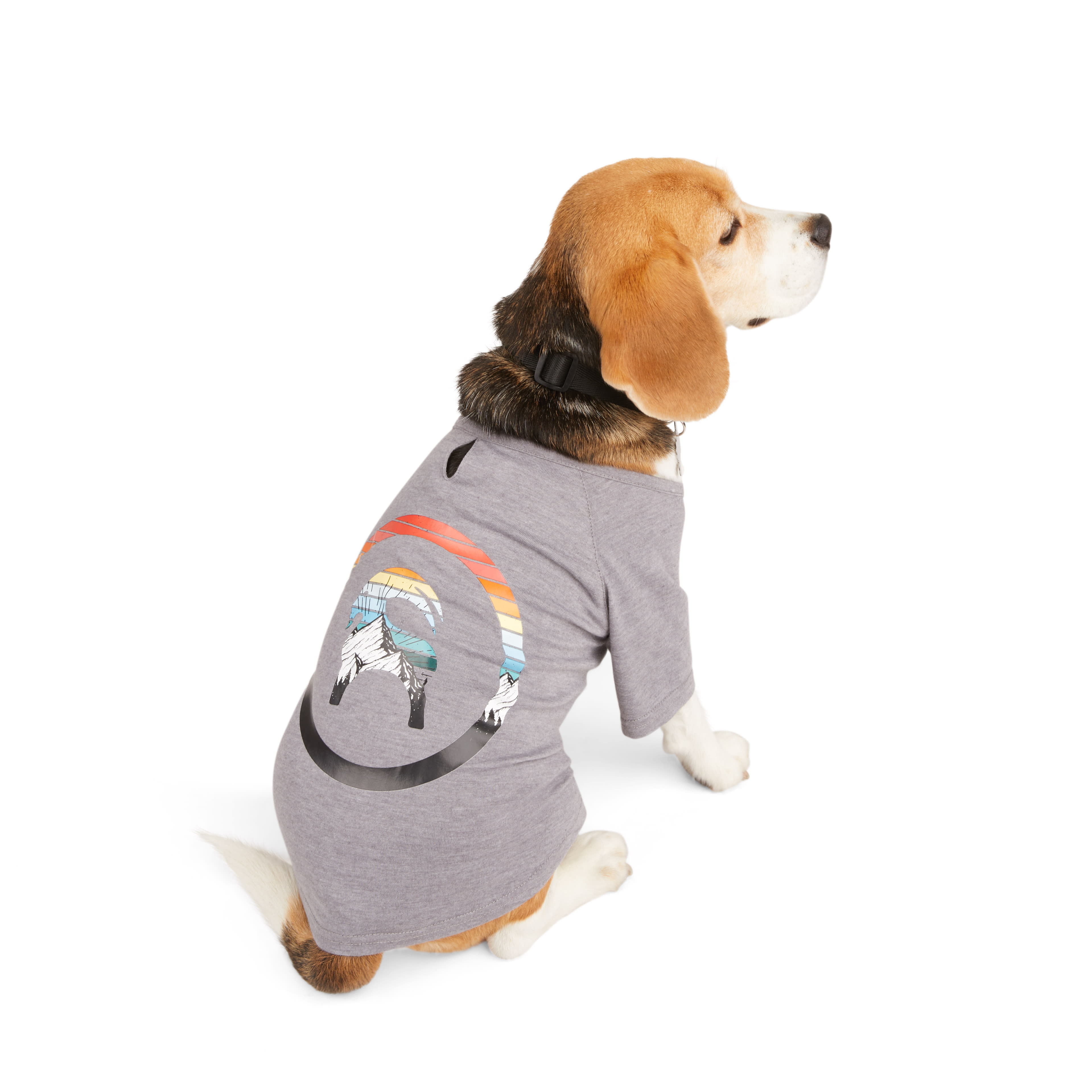 Backcountry x Petco The Sun Shield Dog T-Shirt， X-Small