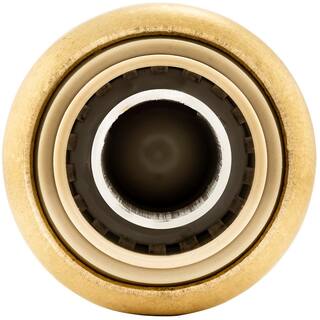 JONES STEPHENS PlumBite 12 in. Push-to-Connect Brass Check Valve C77466LF