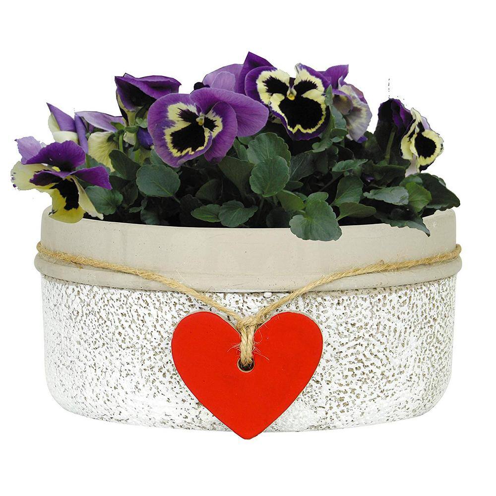 CHG CLASSIC HOME  GARDEN Heart 6.5 in. Whitewash Concrete Bowl Planter 280000P-396