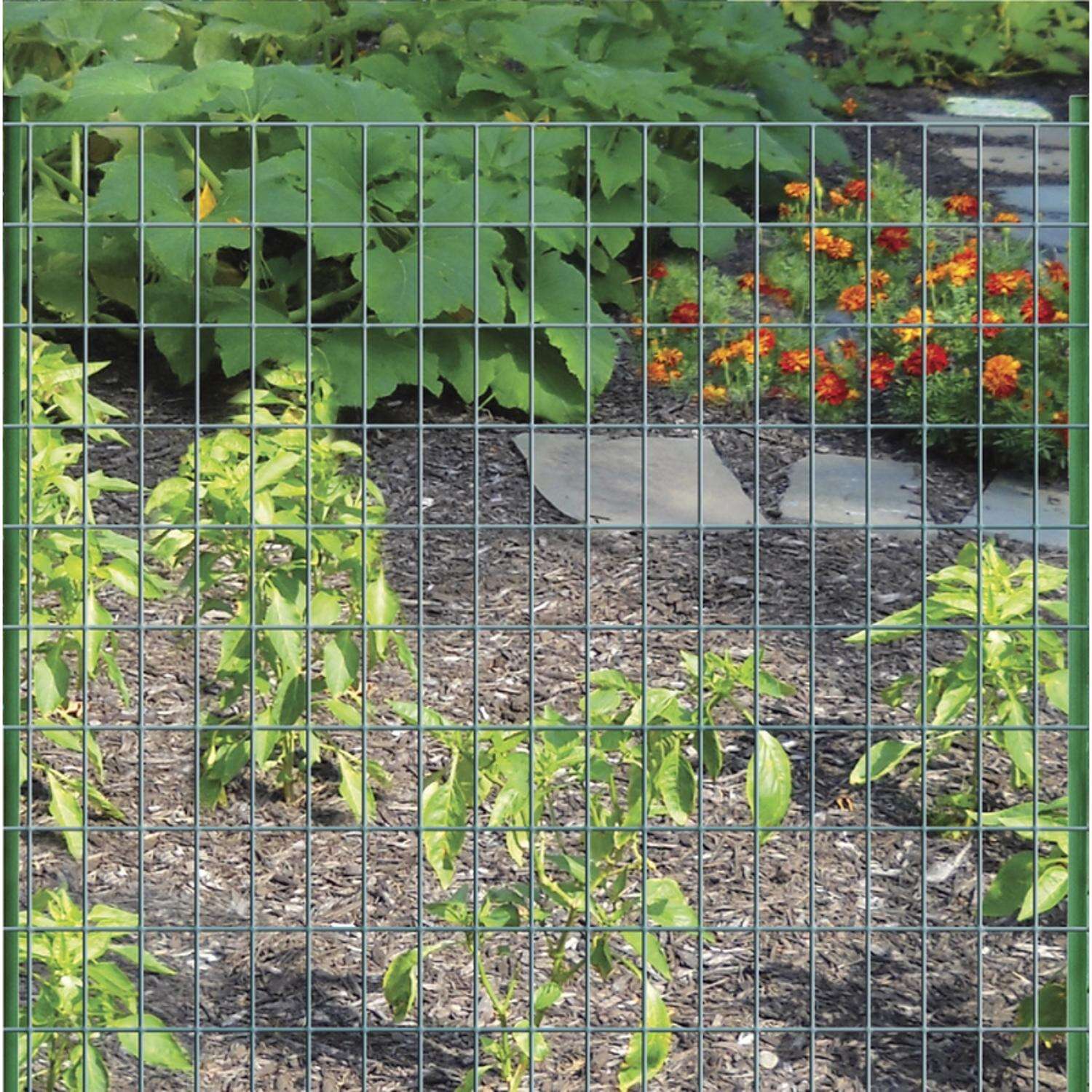 Garden Craft 48 in. H X 50 ft. L Steel Welded Wire Fence 2x3 in.