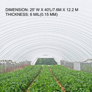 VEVOR 25 ft. x 40 ft. 6 Mil Greenhouse Film Corrosion and Tear-Resistant Clear UV Greenhouse Plastic for Landscaping Projects PEWSM2540FT000001V0