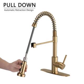 PROOX Single-Handle Deck Mount Spring Pull-Down Sprayer Kitchen Faucet with Deckplate in Brushed Gold PR21AARX289BG