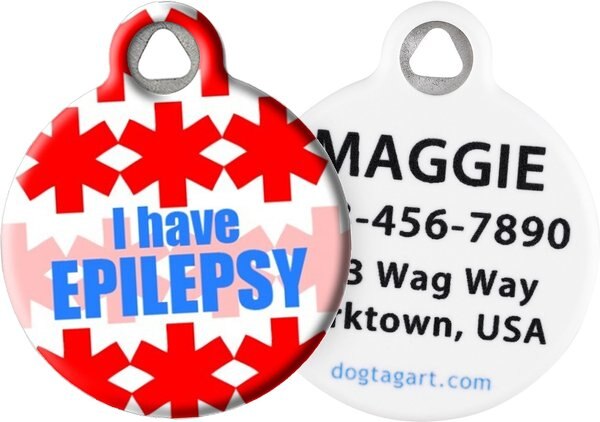 Dog Tag Art I Have Epilepsy Personalized Dog and Cat  ID Tag