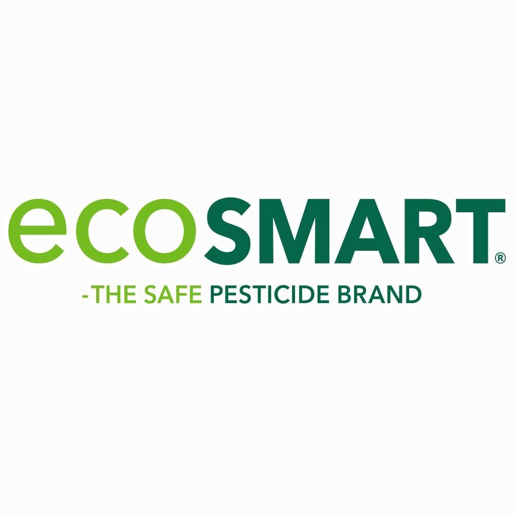 EcoSmart 14 oz. Natural Wasp and Hornet Killer with Plant-Based Essential Oils Aerosol Spray Can (2-Pack) ECSM-33529-01EC