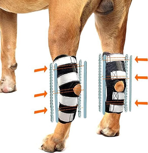 NeoAlly 3-in-1 Long Rear Leg Support Dog Splint Braces