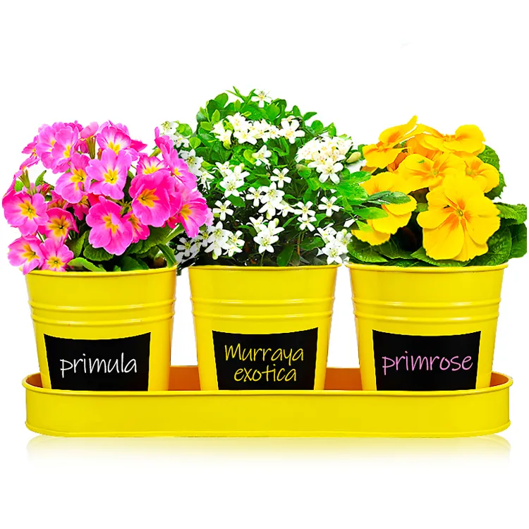 Garden supplies painted color 3PC mini flower pot  planter with metal tray black sticker succulent zinc bucket