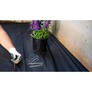 Vigoro 4 ft. x 100 ft. Weed Barrier Landscape Fabric NMV04100B