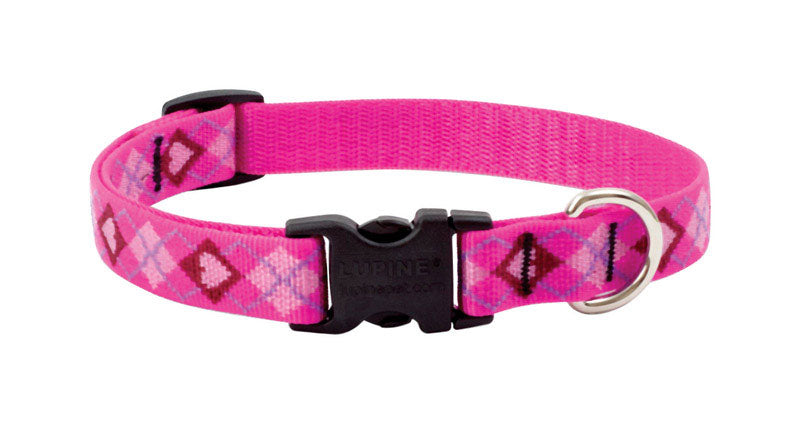 DOG COLLAR13-22ADJ PYLV