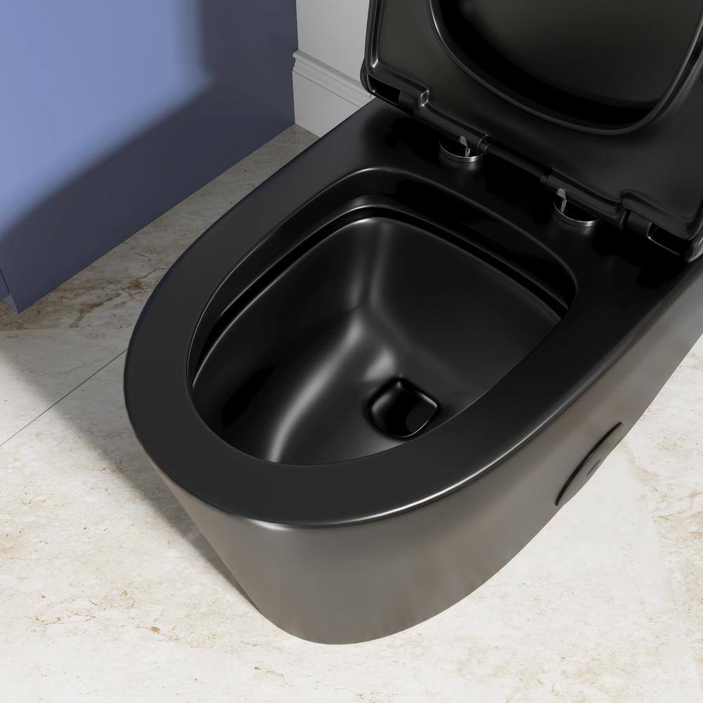 Hanikes One-Piece Toilet 1.11.6 GPF Dual Flush Elongated Toilet in Black Seat Included WaterSense Toilet AR80B