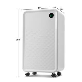 30 pt. 3000 sq.ft. Auto or Manual Drain Dehumidifier in. White with 2L Water Tank jinxDHMDFR1