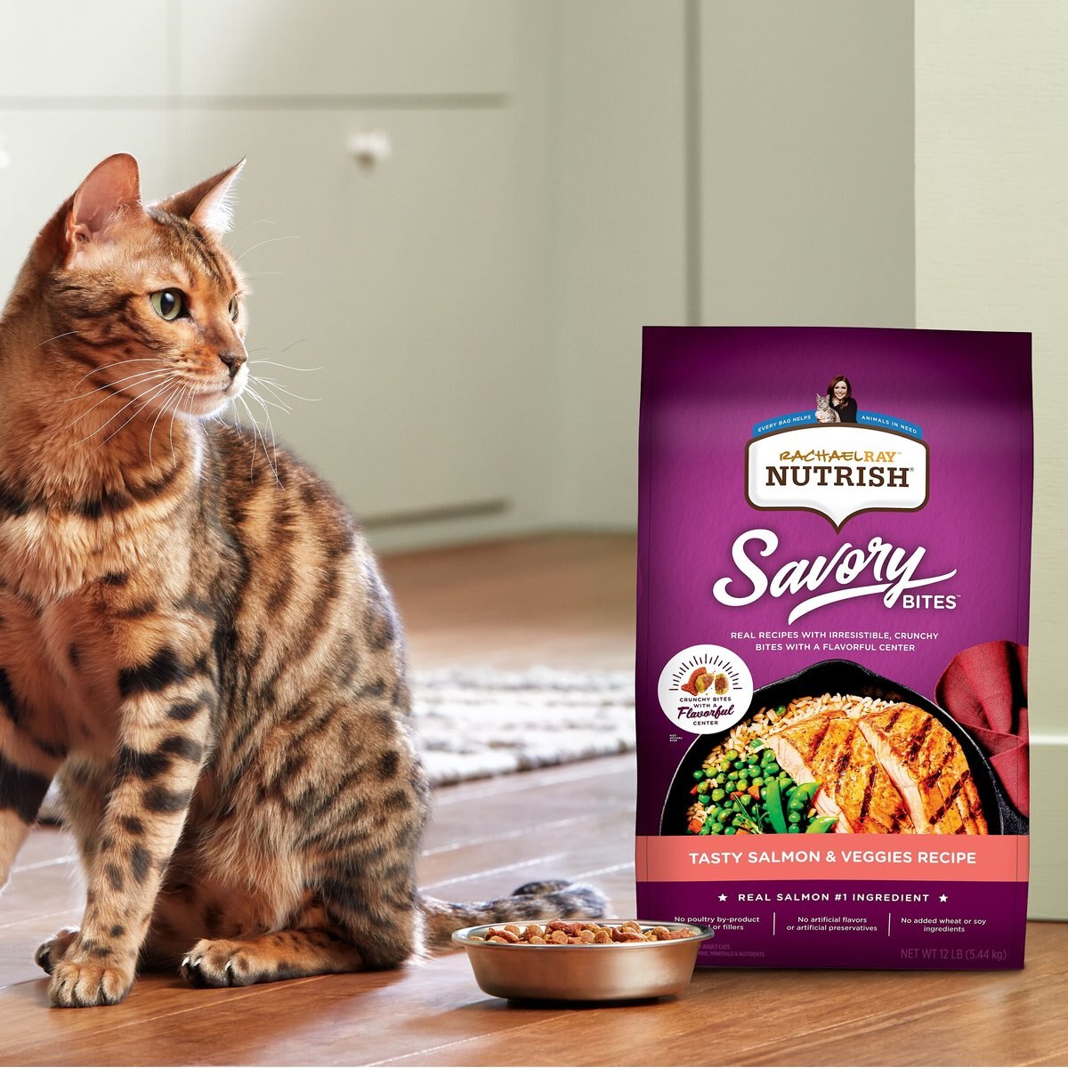 Rachael Ray Nutrish Savory Bites Tasty Salmon and Veggies Recipe Dry Cat Food， 5-lb bag