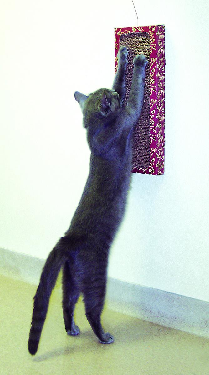 Cat Dancer Wall Scratcher