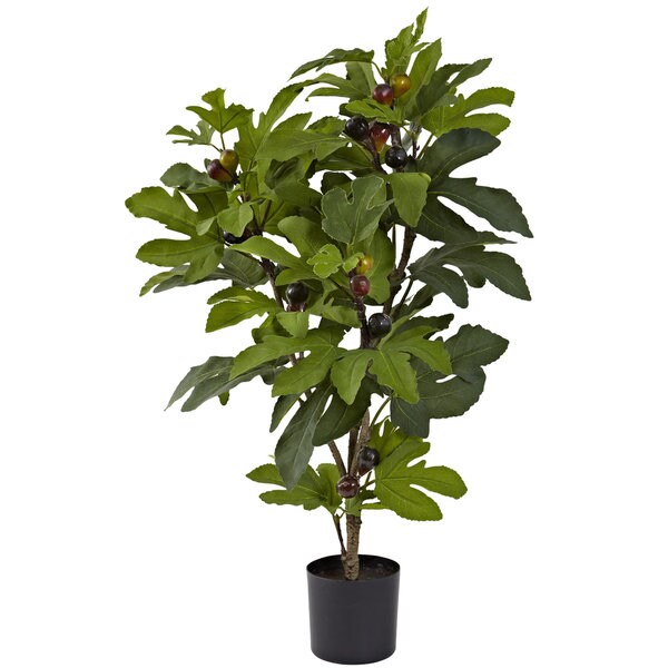 32inch Silk Fig Tree