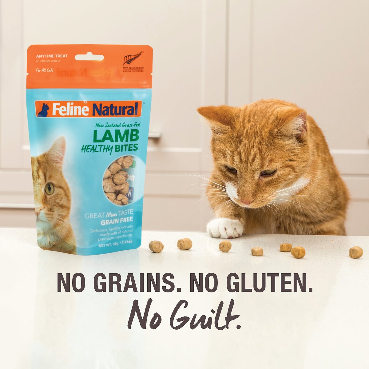 Feline Natural Lamb Healthy Bites Grain-Free Freeze-Dried Cat Treats， 1.76-oz bag