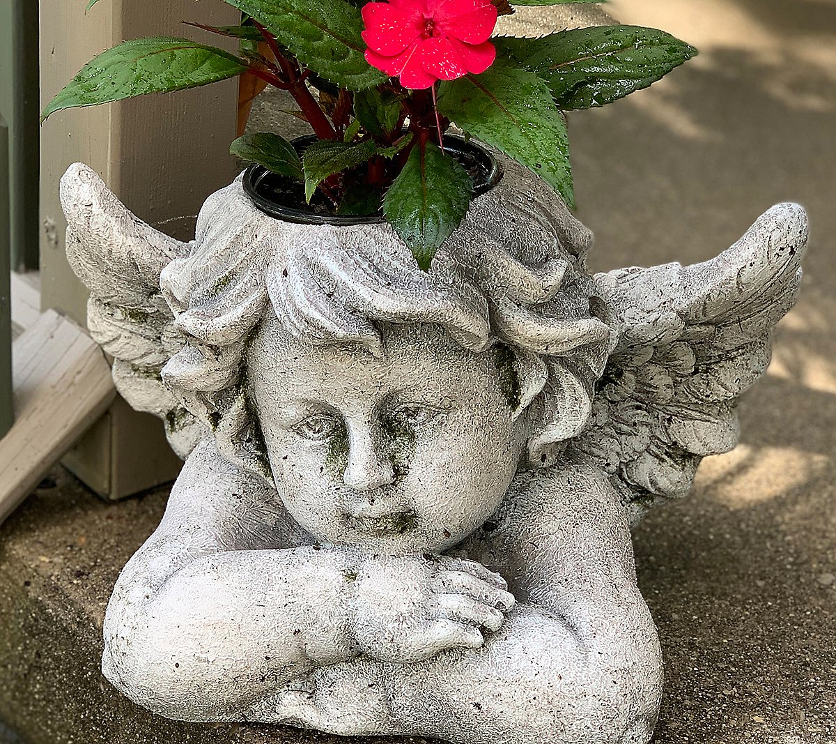 RCS Planter Cherub Stone