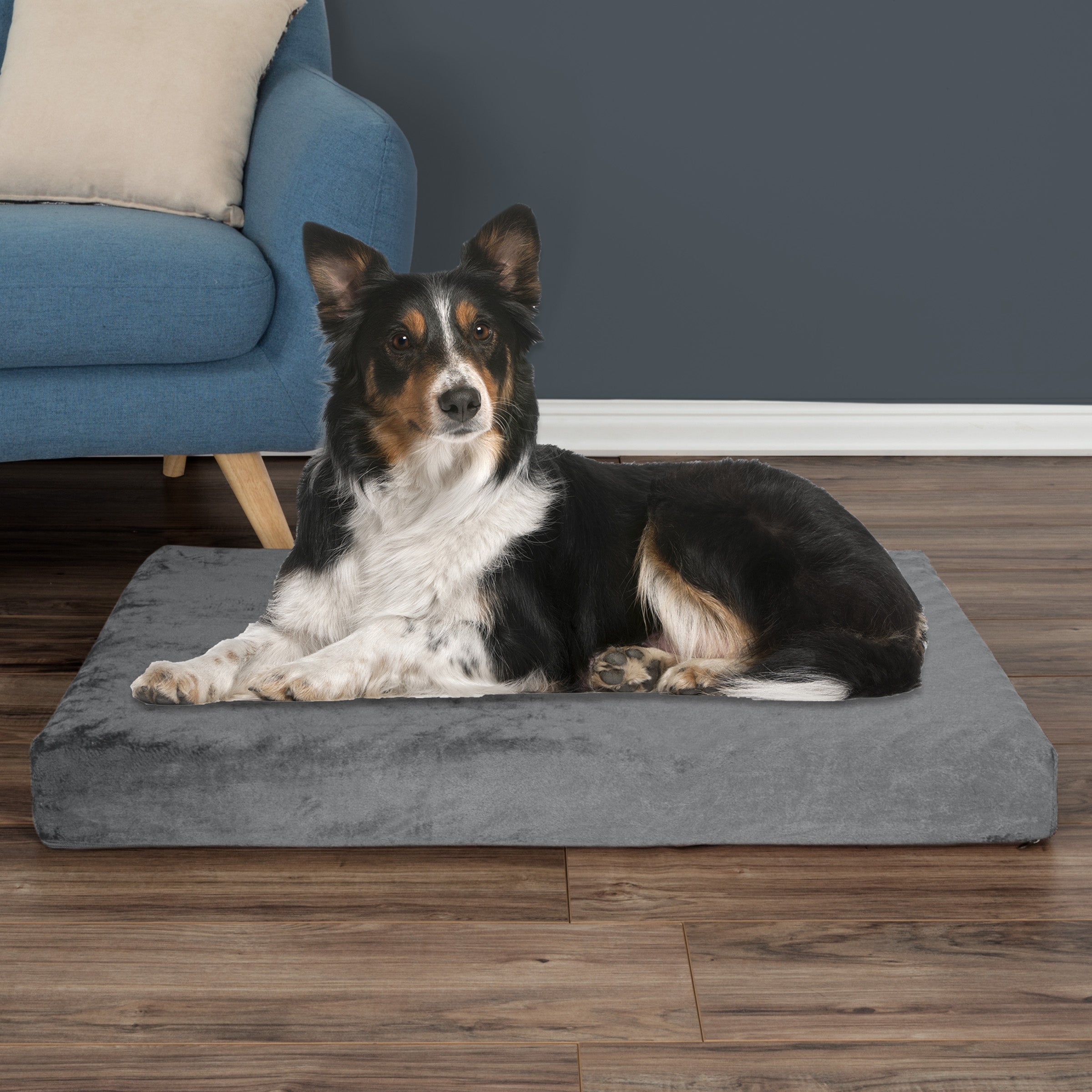 Memory Foam Dog Bed - 2-Layer Orthopedic Pet Pad with Machine Washable Cover - 37x24 Pet Bed for Large Dogs up to 65lbs by PETMAKER (Gray)