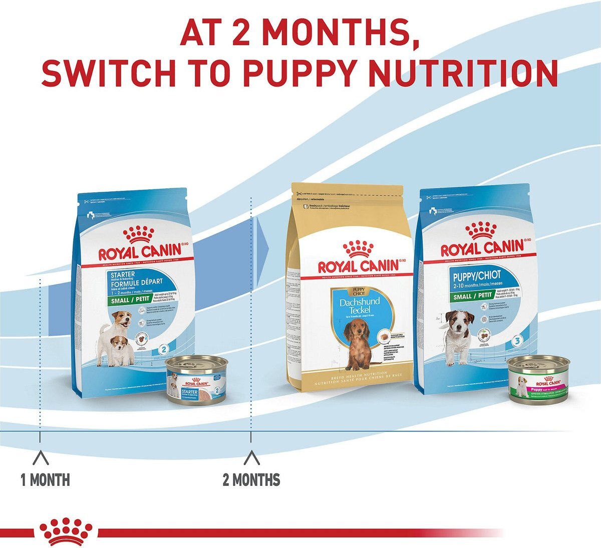 Royal Canin Size Health Nutrition Small Starter Mother and Babydog Dry Dog Food