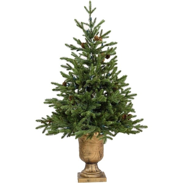 Fraser Hill Farm 3.0' Noble Fir Potted Tree