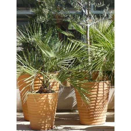 POT CYCAS STRIE H45CM TERRACOTTA