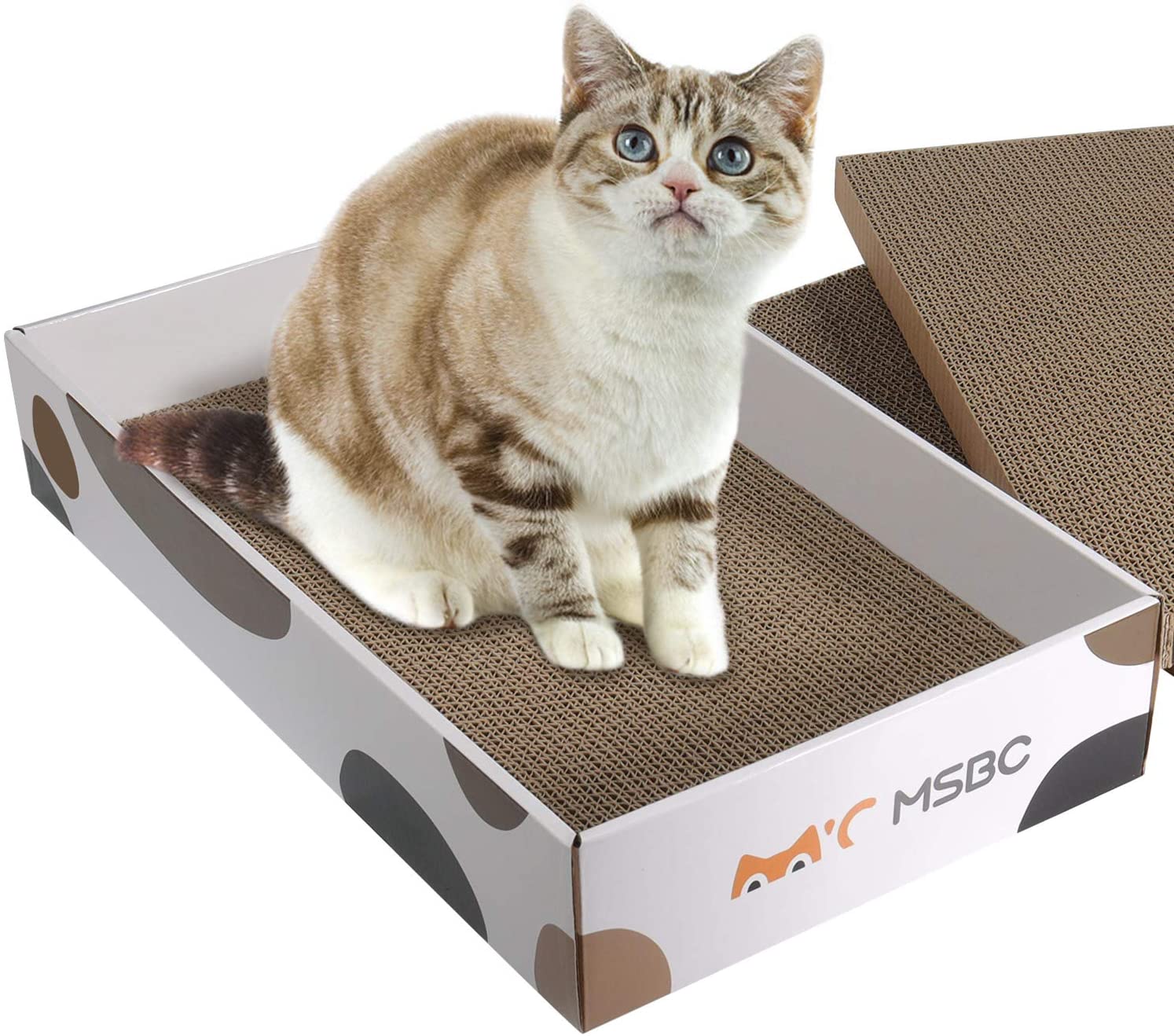 ComSaf Durable Cat Scratcher Bed for Furniture Protection， Cat Training Toy， Set of 1， 3 pcs