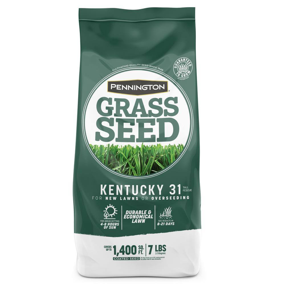 Pennington 7 lbs. KY 31 Fescue Grass Seed 100516051