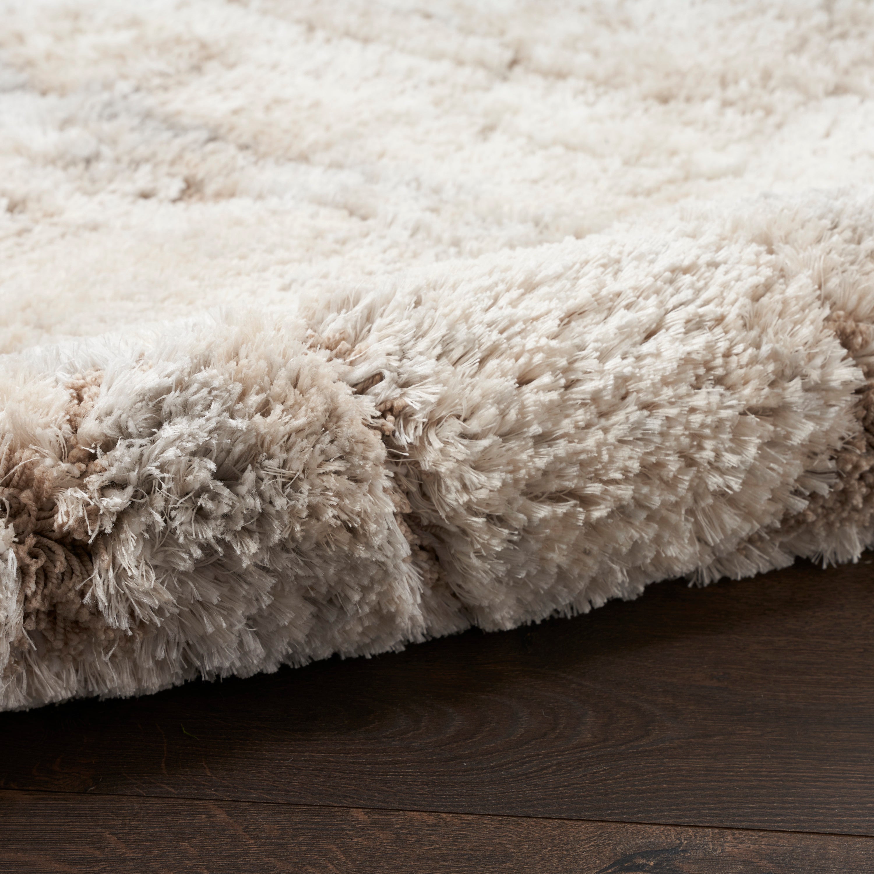 Dreamy Shag Ivory/Beige Rug