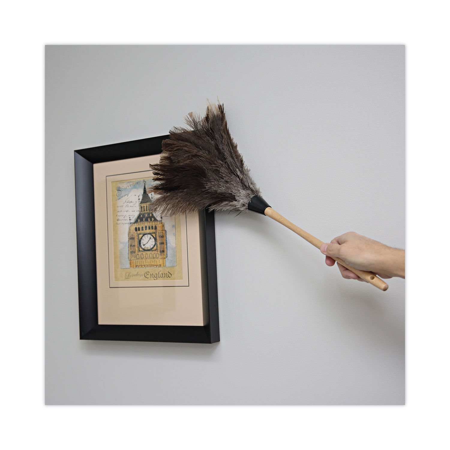Professional Ostrich Feather Duster by Boardwalkandreg; BWK23FD
