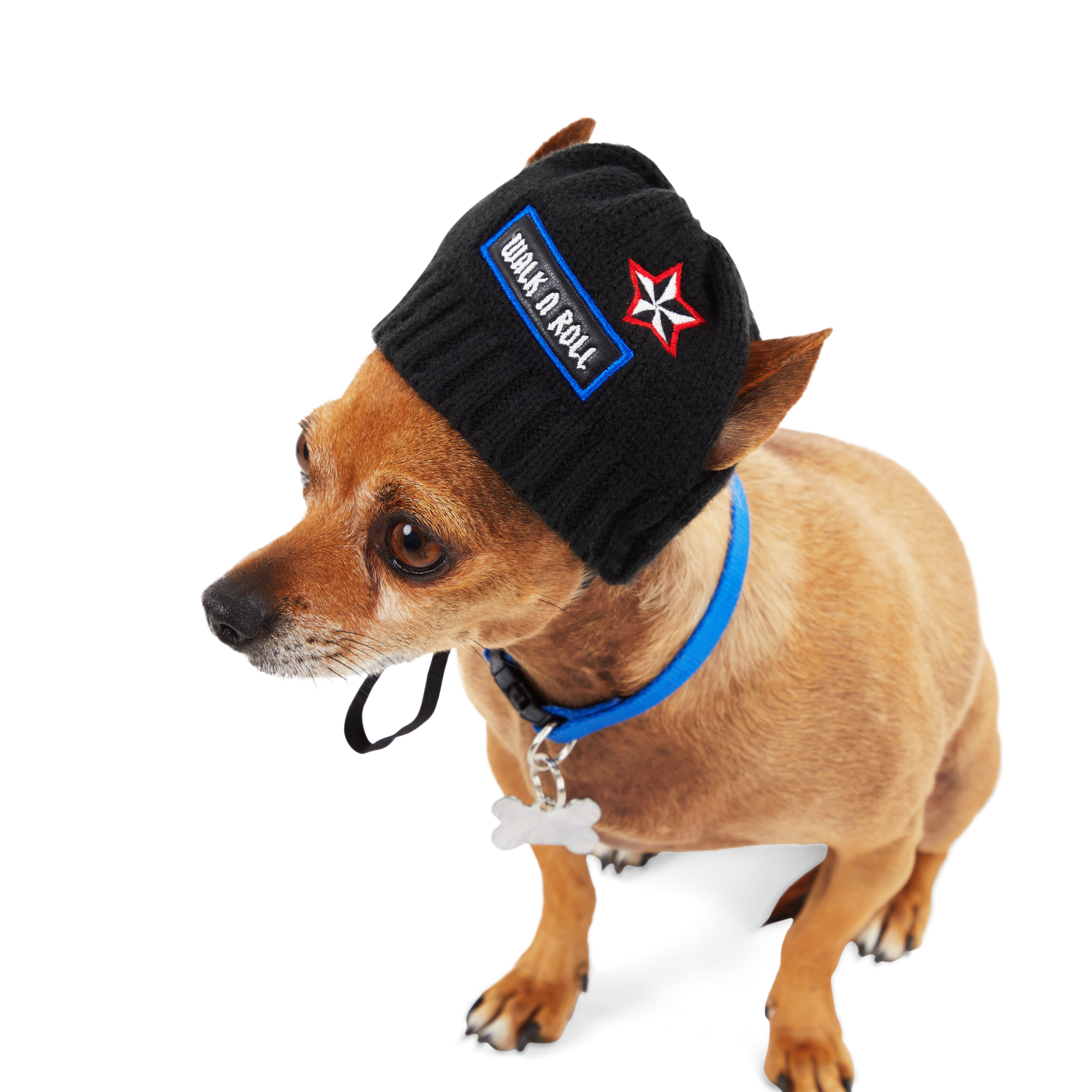 YOULY Beanie Dog Hat， X-Small/Small