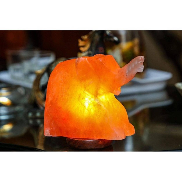 Elephant Salt Lamp Pink Q amp a Himalayan Salt