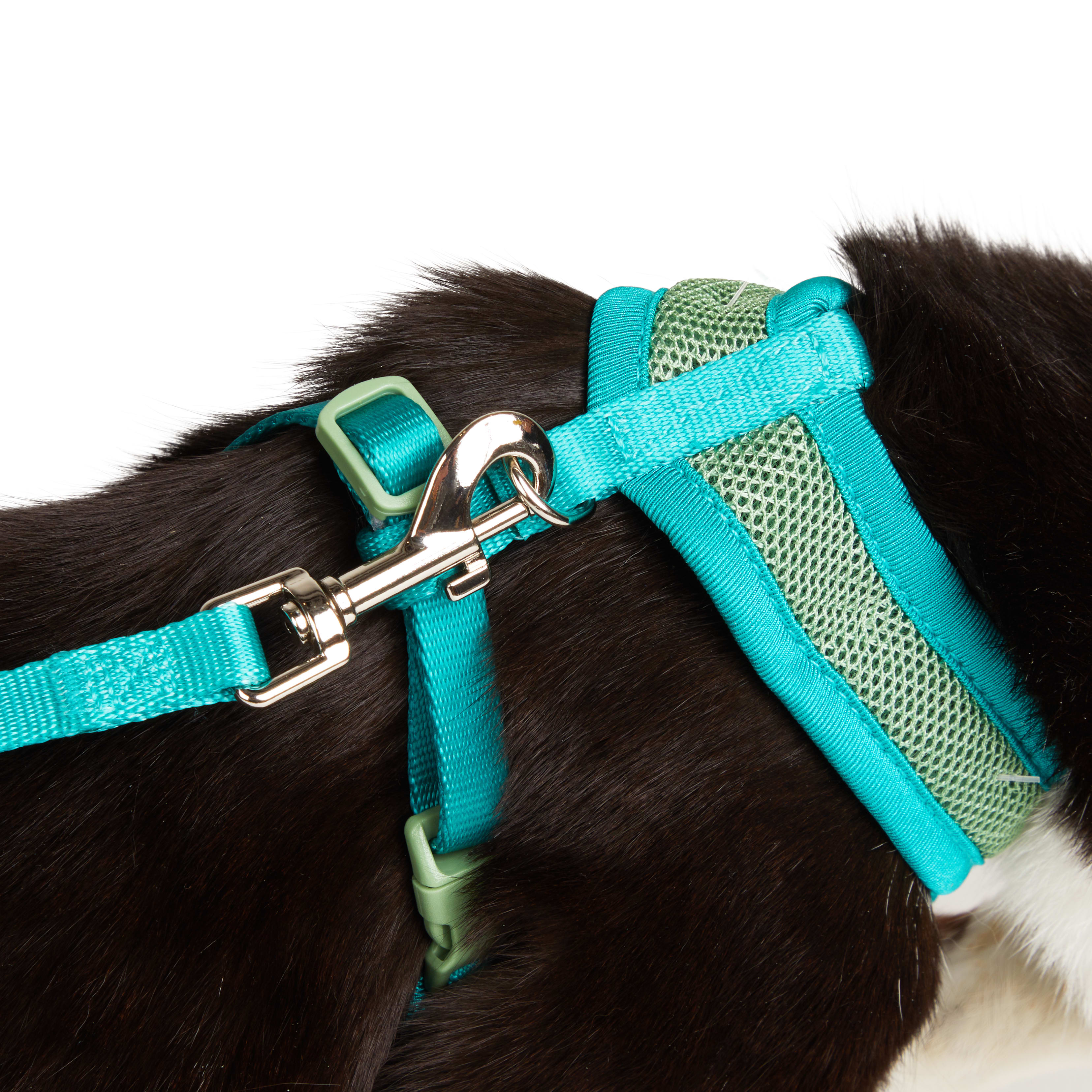 YOULY Green Cat Harness  Lead