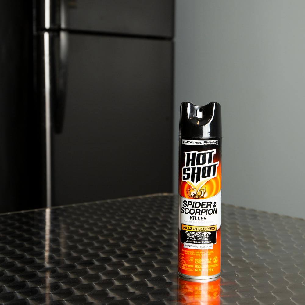 Hot Shot 11 oz. Spider and Scorpion Killer Aerosol Spray HG-64490-5