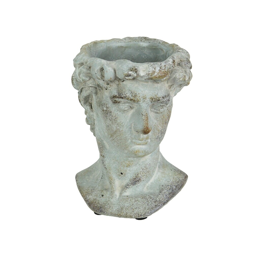 Michelangelo's David Bust Concrete Indoor/Outdoor Head Planter   6 X 5.25 X 4.5 inches