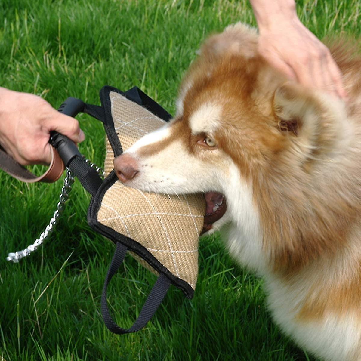 Pet Dog Bite Tug Toy Puppy Bite Pillow Outdoor Training Toy