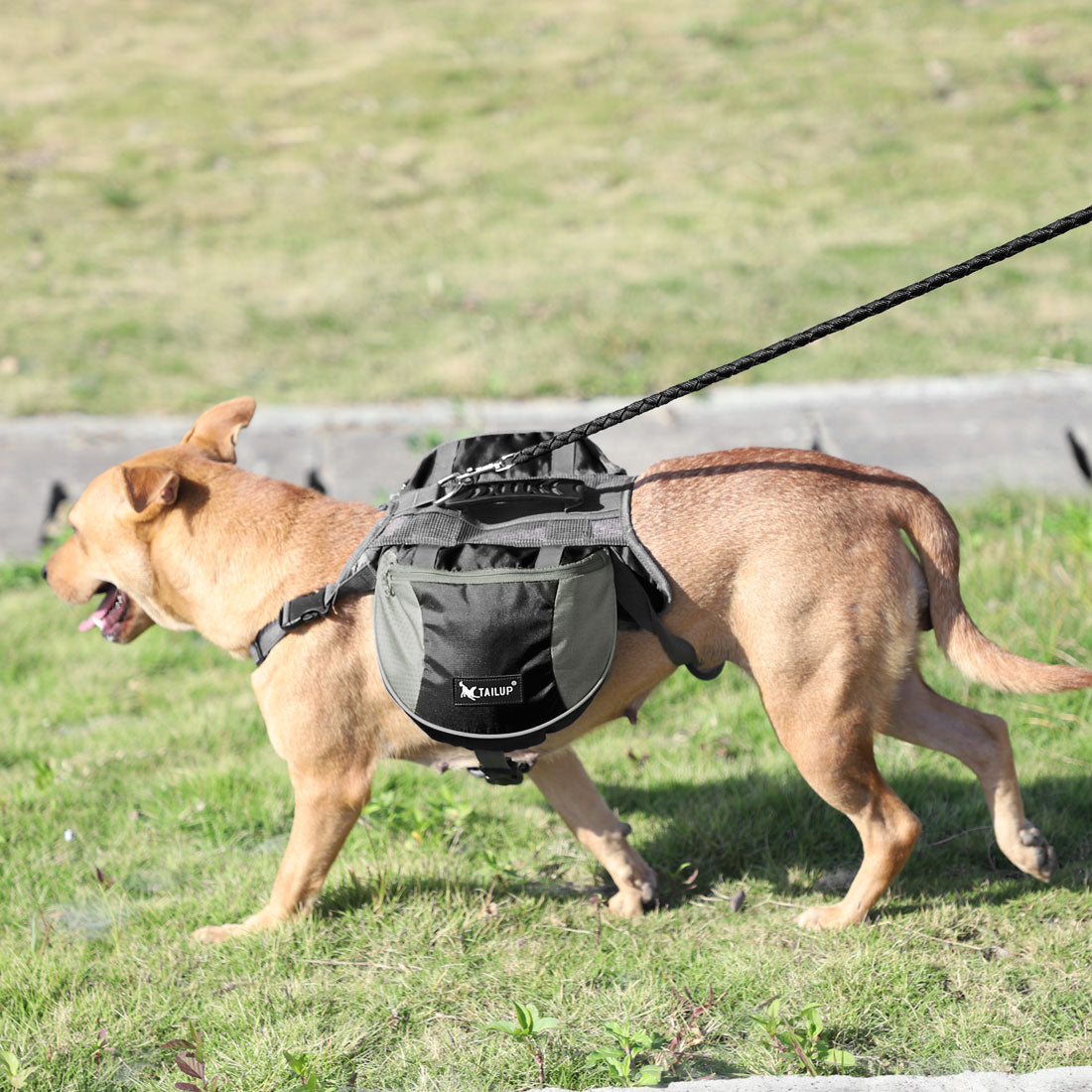 Dog Pet Backpack Carrier Saddle Bag Outdoor Black L