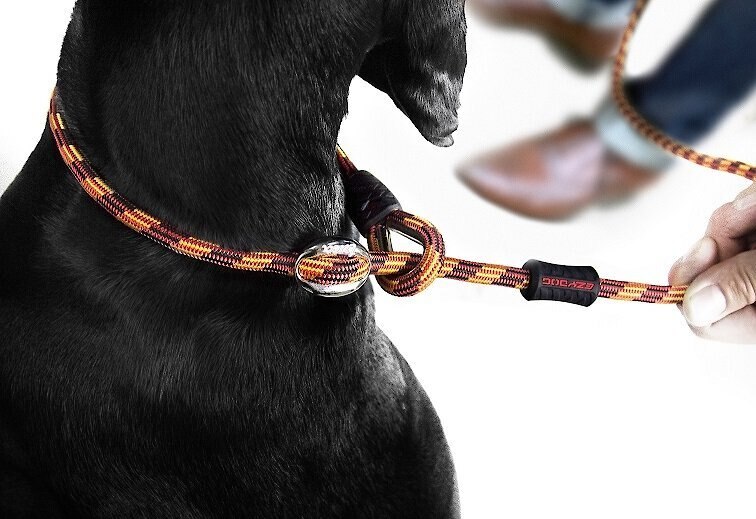 EzyDog Luca All-In-One Dog Slip Collar and Leash