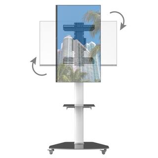 ProMounts Rolling TV Floor Stand Mount For 32-80 In. Height Adjustable Portrait to Landscape TV Cart PFCS6403