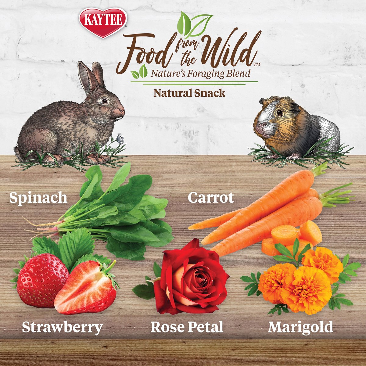 Kaytee Food From the Wild Natural Snack Rabbit Treats， 1-oz bag