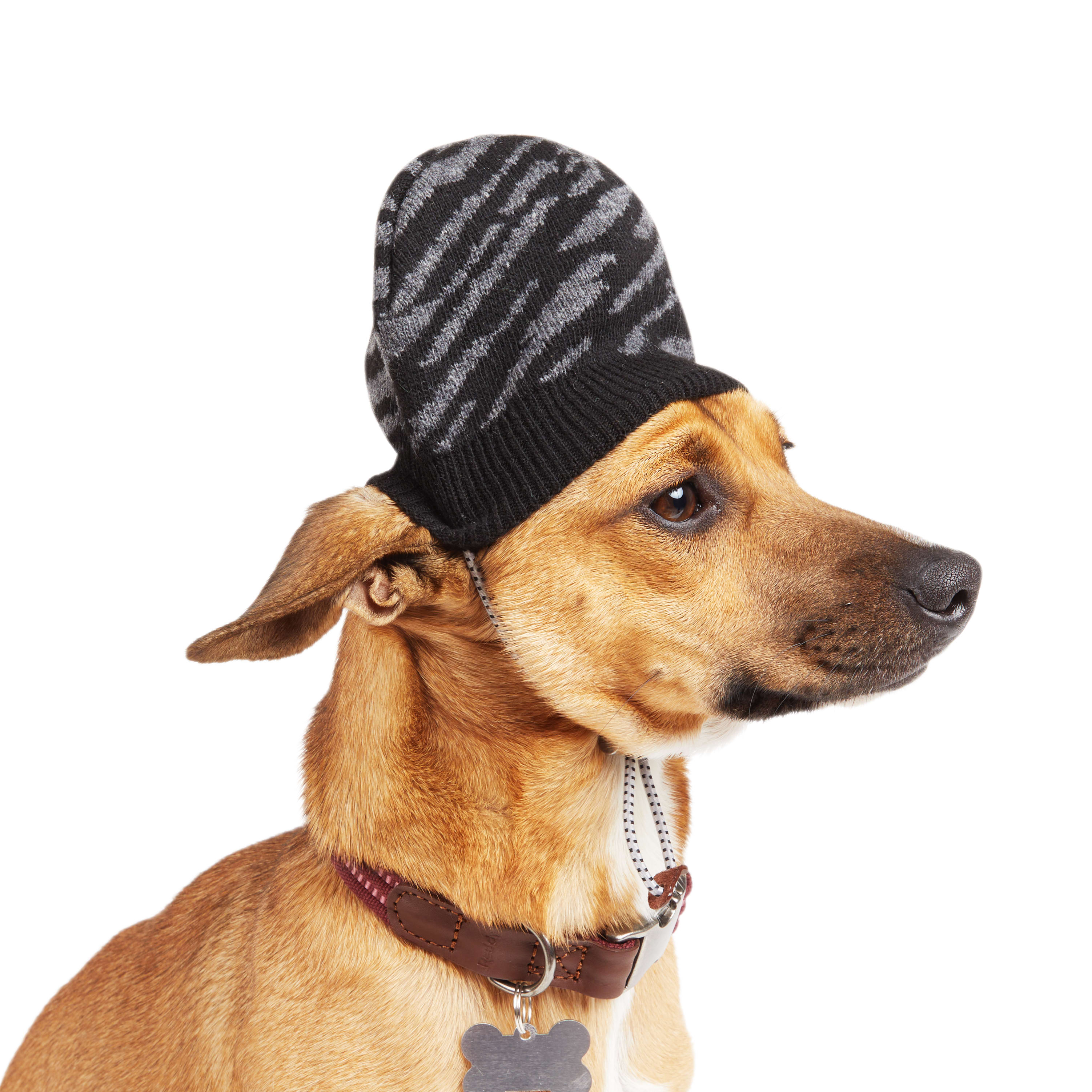 Reddy Black Beanie for Dog， X-Small/Small