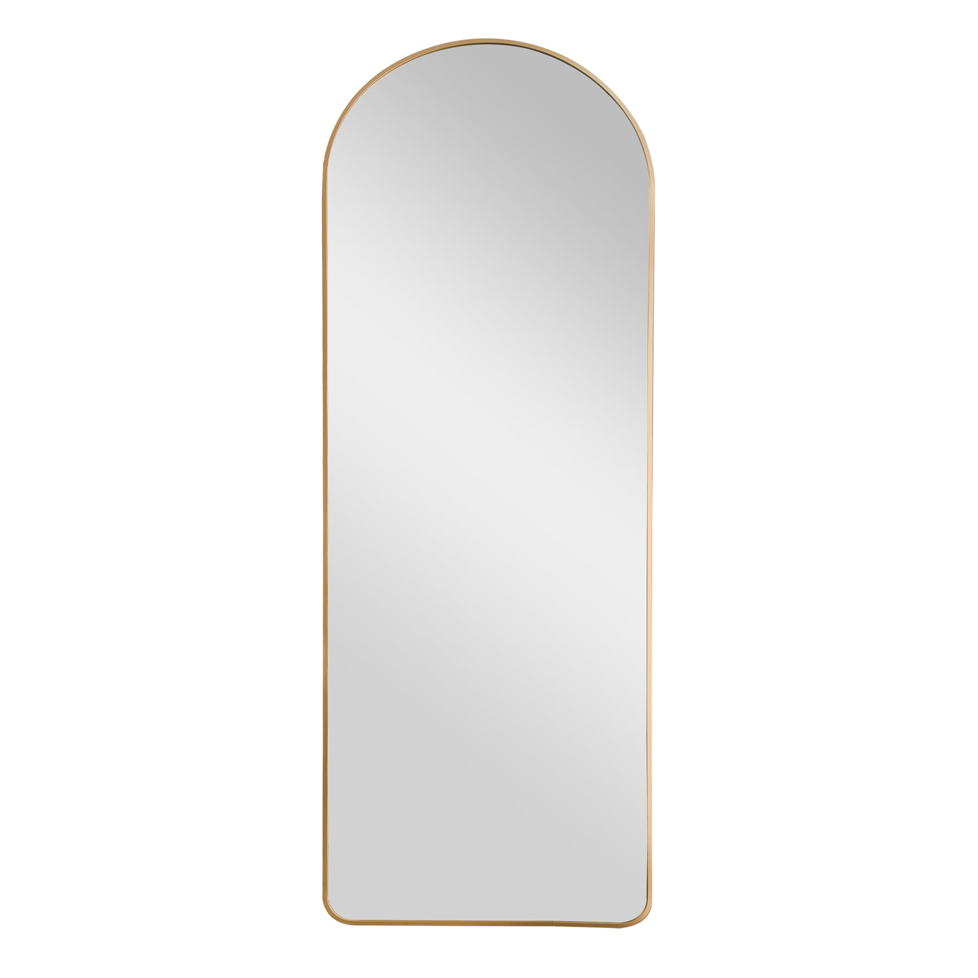 NeuType 22 in x 65 in Gold Modern Floor Mirror