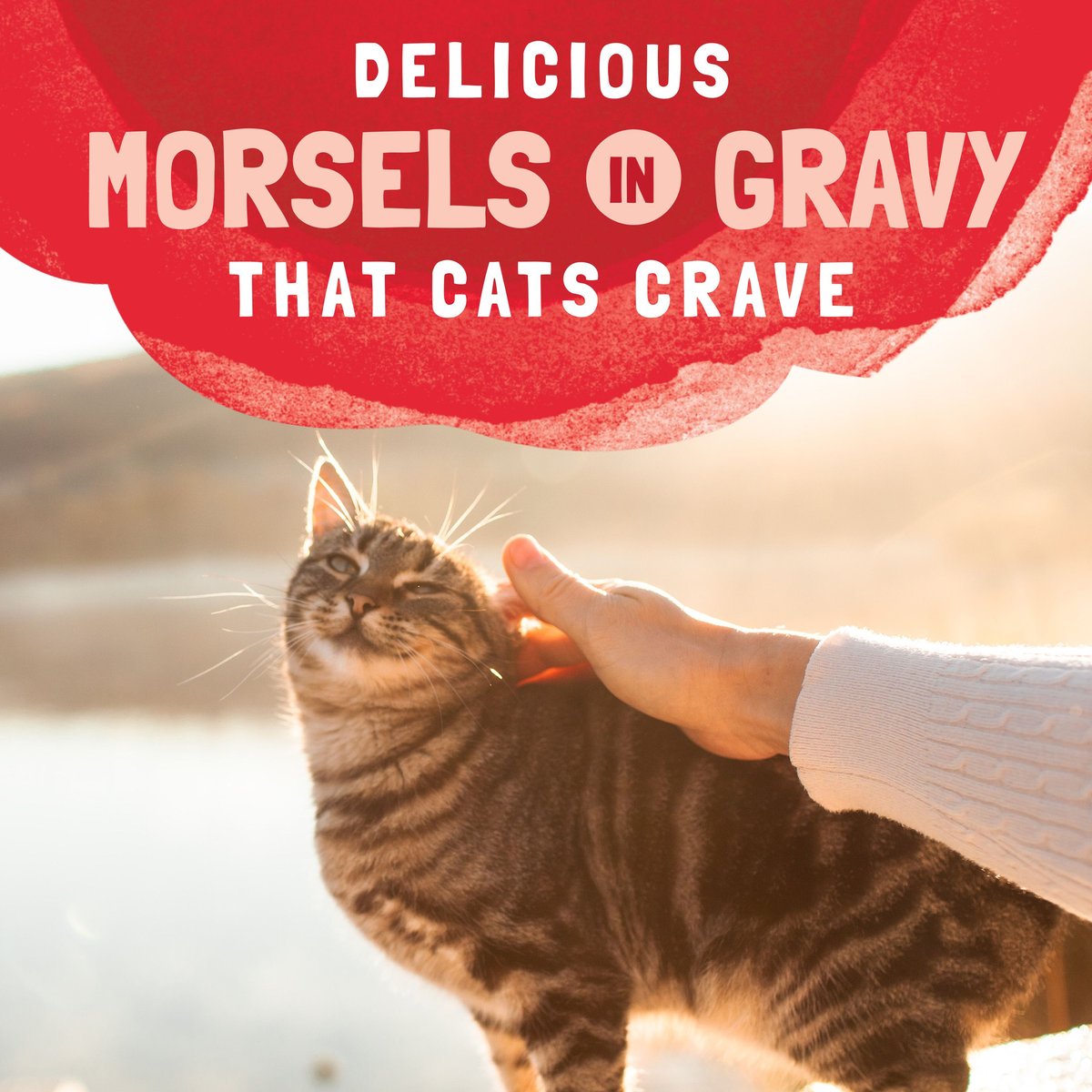 Natural Balance Platefulls Salmon， Tuna and Crab Formula in Gravy Grain-Free Cat Food Pouches