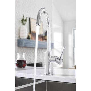 MOEN Sombra Single-Handle Standard Kitchen Faucet with Side Sprayer in Chrome 87702