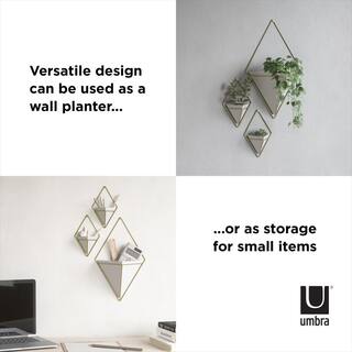 Umbra Trigg Wall Display 2 Small WhiteBrass Ceramic Planter 470753-524