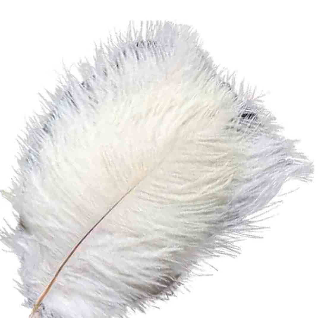 12 Pack White Natural Plume Real Ostrich Feathers, DIY Centerpiece Fillers 13