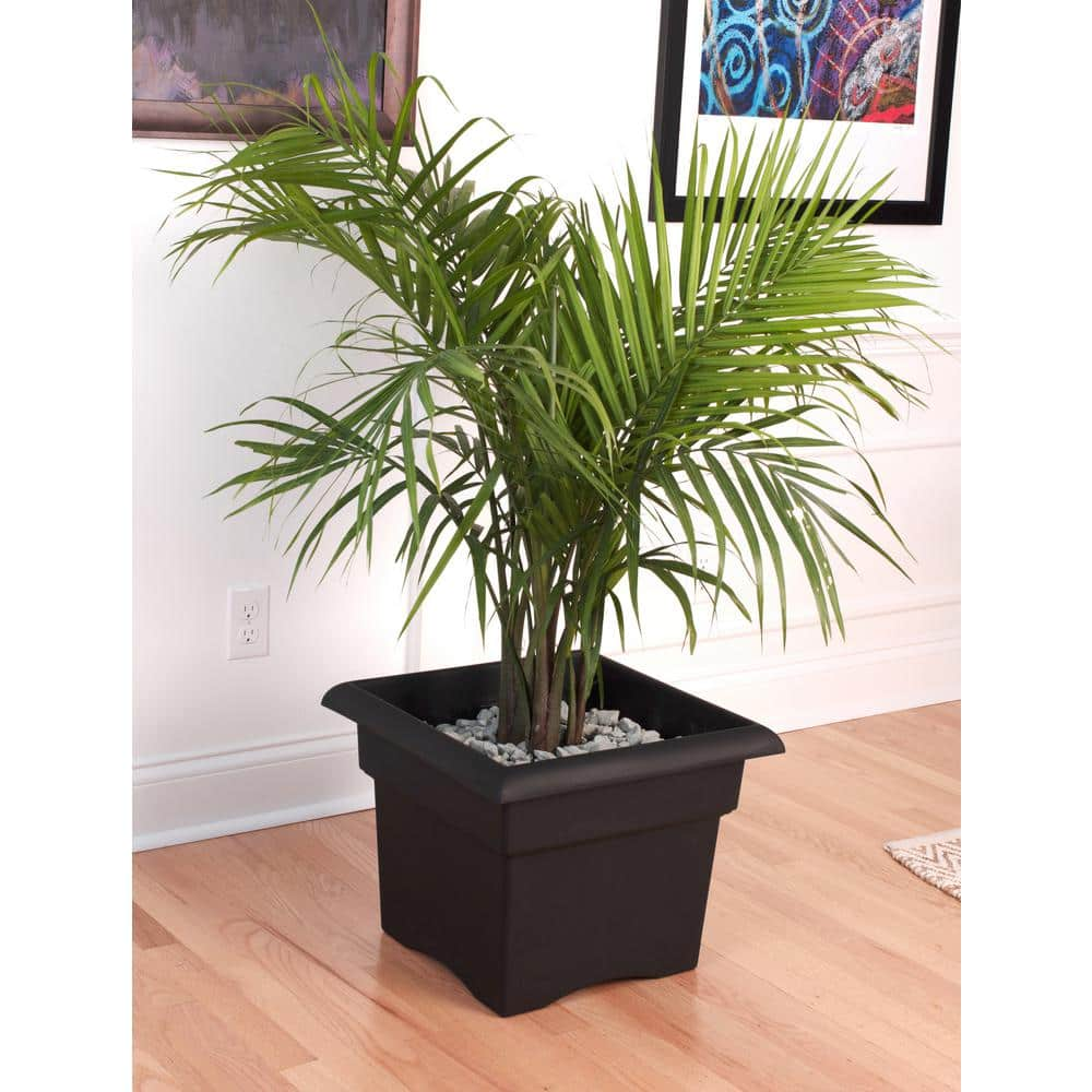 Bloem Veranda Square 18 in. Black Plastic Deck Box Planter 57918