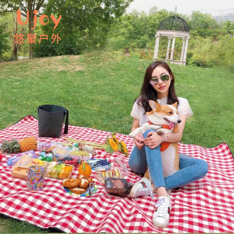 Portable Outdoor Full Fold Up Thickened waterproof picnic mat for camping