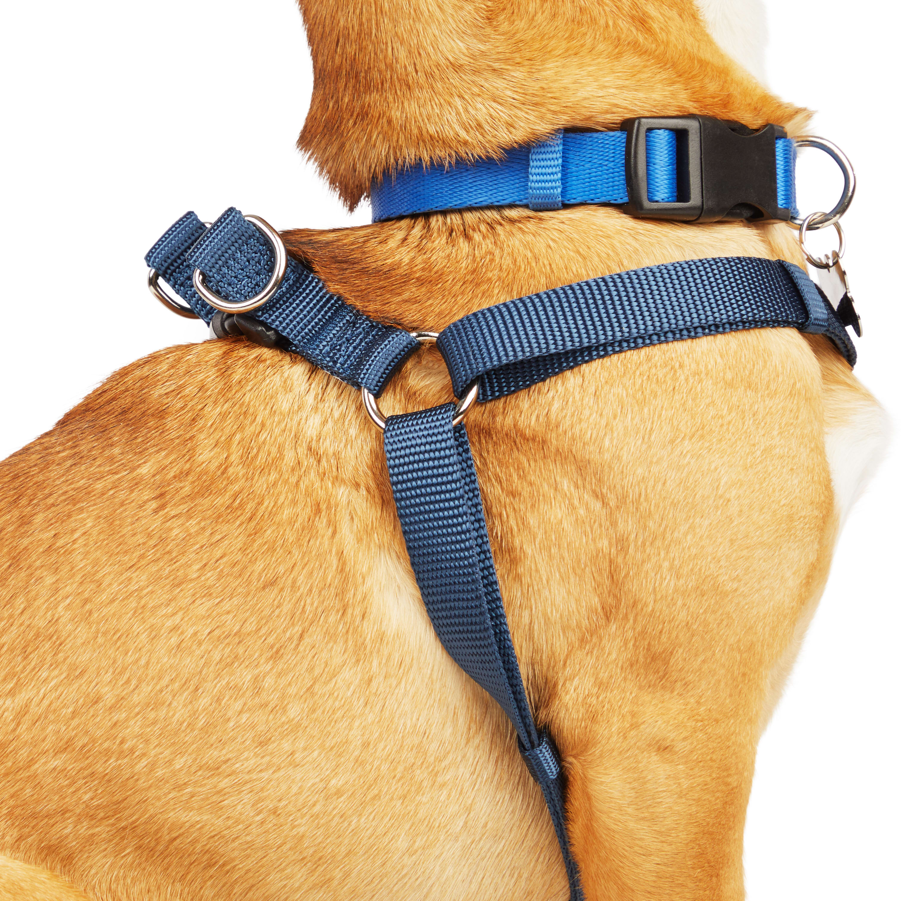 YOULY Blue Dog Harness， X-Small