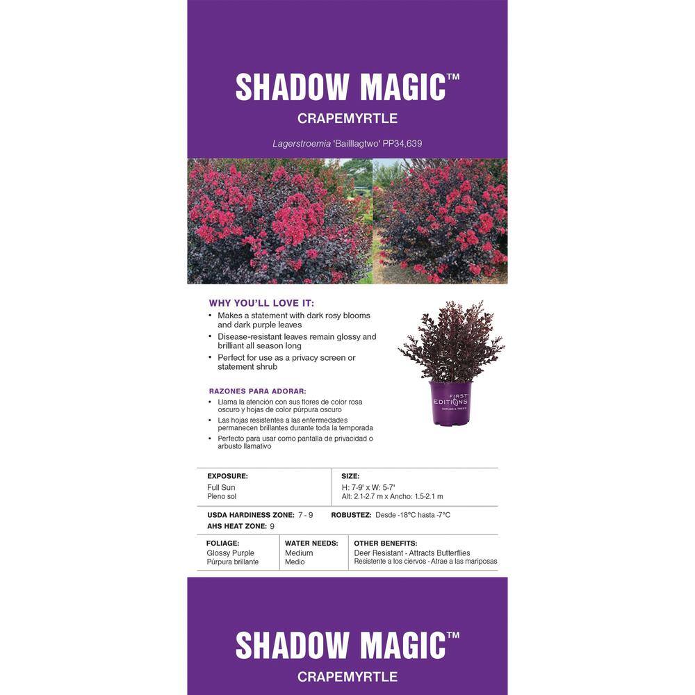 FIRST EDITIONS 2 Gal. Shadow Magic Crape Myrtle Flowering Shrub with Dark Leaves and Dark Pink Flowers 18131
