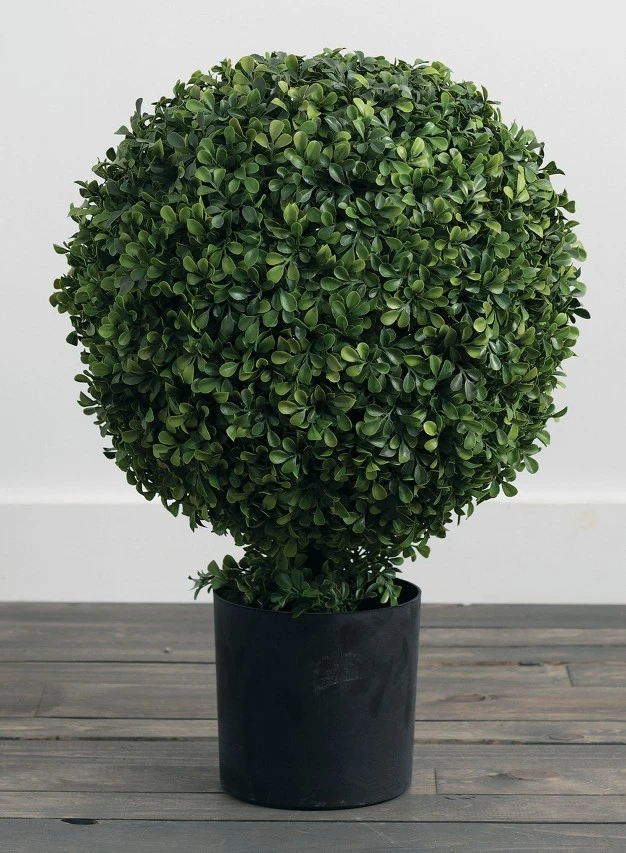 Sullivans Artificial Boxwood Topiary