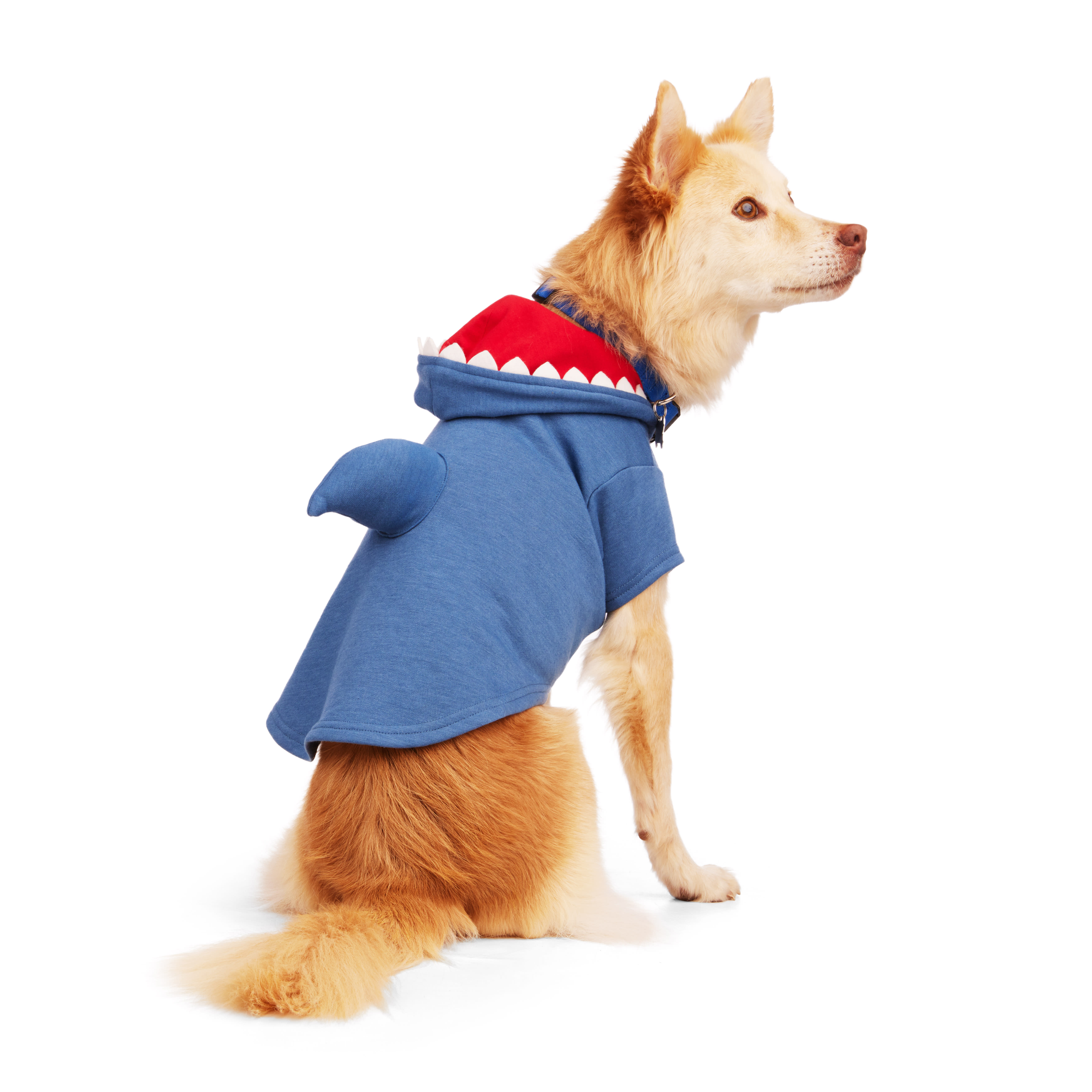 YOULY Shark Hoodie for Dogs， XX-Small