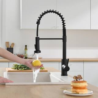 Fapully Touchless Single-Handle Pull-Down Sprayer Kitchen Faucet in Matte Black DFA-1002B